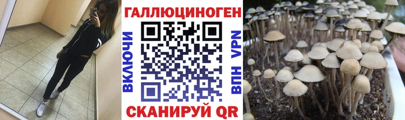 Псилоцибиновые грибы мухоморы  omg сайт  это телеграм  Пудож 